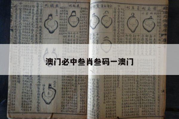 澳门必中叁肖叁码一澳门/澳门三中三必中一组