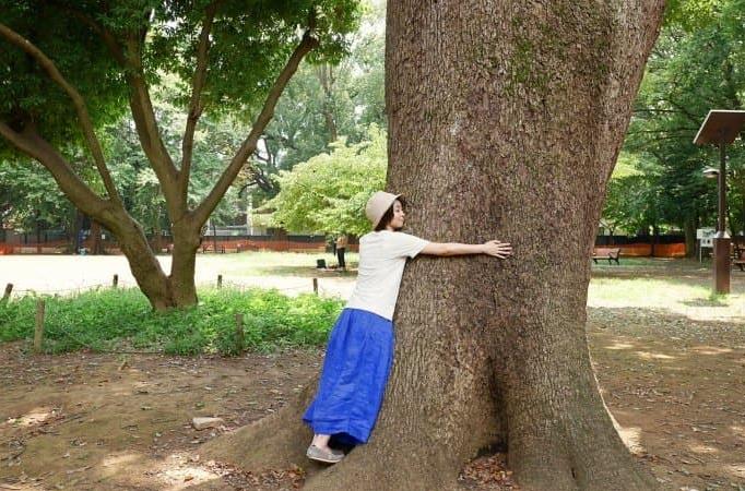 女子每月花780抱树,女子每月花780抱树放松疗愈