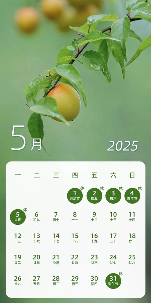 老澳门最新开奖结果今天和央视端午晚会与央视端午晚会2025