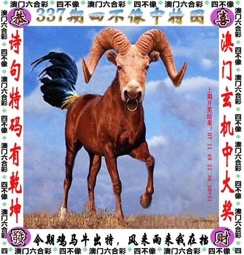 新澳门四肖八肖期期准最新版本,和北海道近海6.1级地震与北海道近海6.1级地震情况