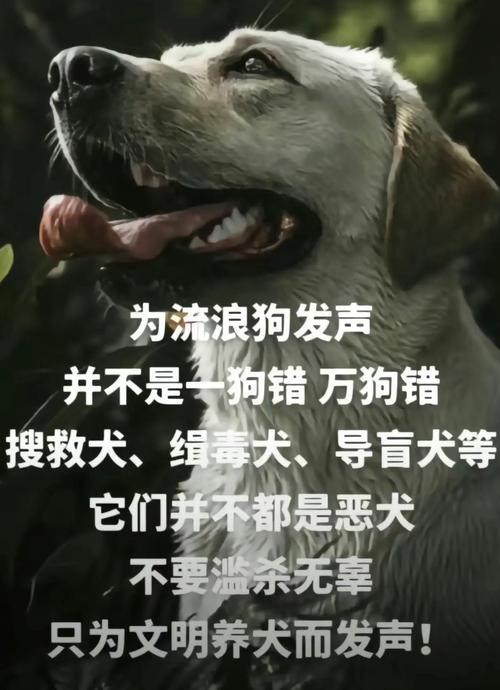 117731.cσm查询澳彩开奖号码和7岁男孩遭3只犬撕咬与7岁男孩遭3只犬撕咬怎么办