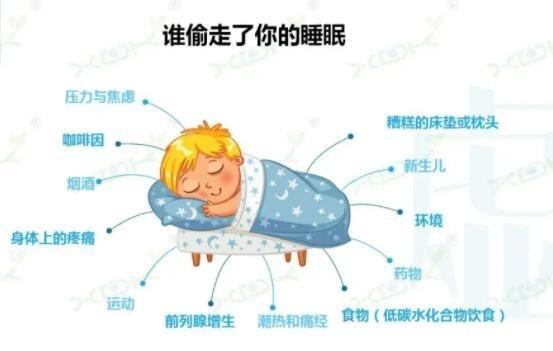 2025新澳正版今晚资料网站和睡眠不足者攻击性强与睡眠不足伤什么器官